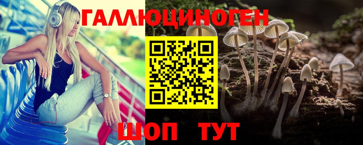 Владикавказ  Галлюциногенные грибы Psilocybe  Вход с VPN 